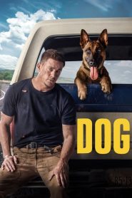 Köpek – Dog (2022) Türkçe Dublaj izle
