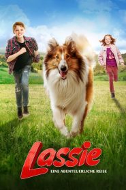 Lassie Eve Dön (2020) izle